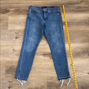 Banana Republic Blue Skinny Jeans